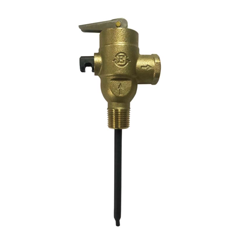 DN20 Pressure Temperature Valve